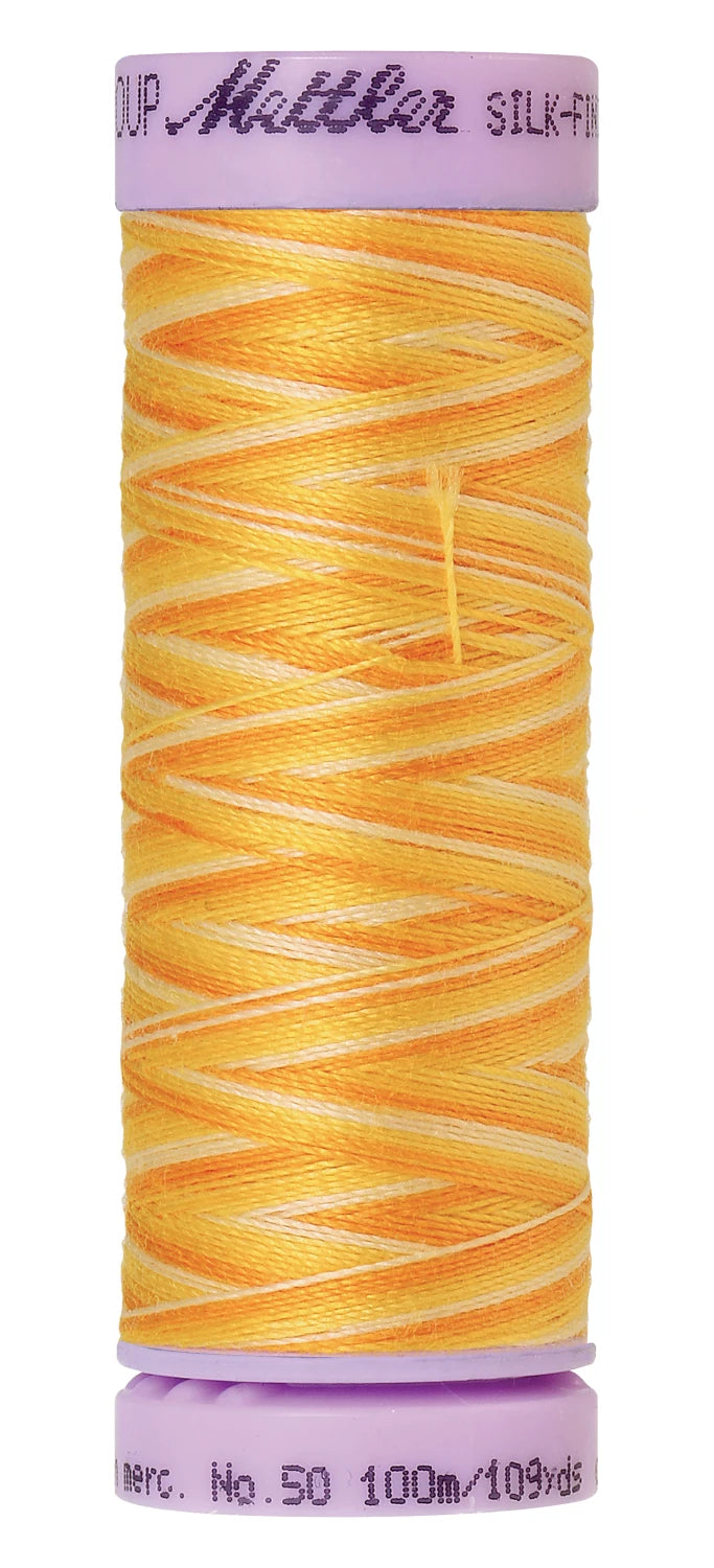 Mettler 9827 Silk-Finish 50wt Variegated Cotton Thread 109yd/100M Horizon