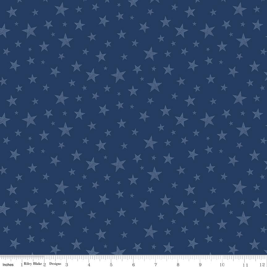 Valor Is Never Forgotten Stars Blue