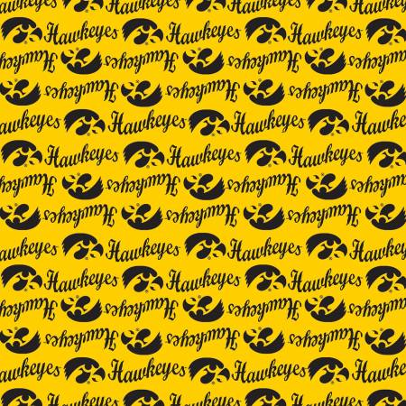 Iowa Mini Packed Logo IA1390