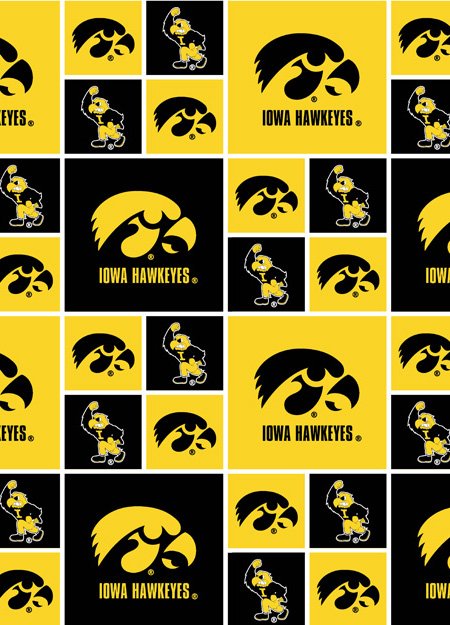Iowa IA006