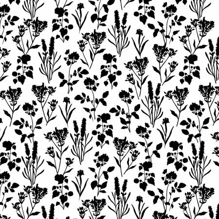 Shadow Blooms White Plants All Over 5344
