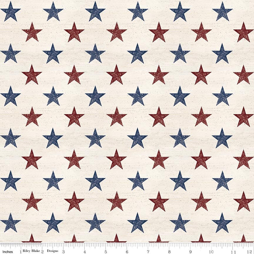 Valor Is Never Forgotten 107/108 Inch Wide Back Stars Multi
