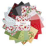 Little Ladybug 10 inch Fabric Squares