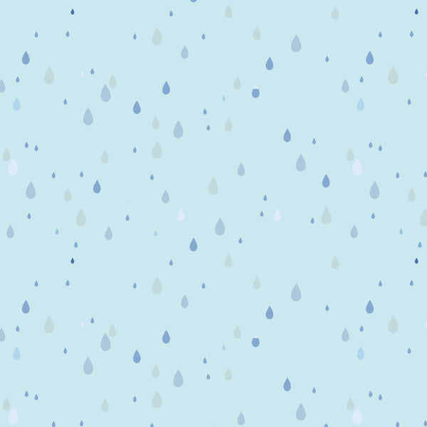 Lucky Duck Sky Raindrops 6620