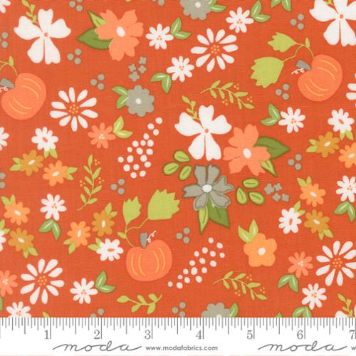 Birch and Willow Spice Pumpkin Patch Florals 806345