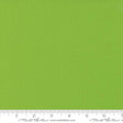 Bella Solids Sprout 9900267