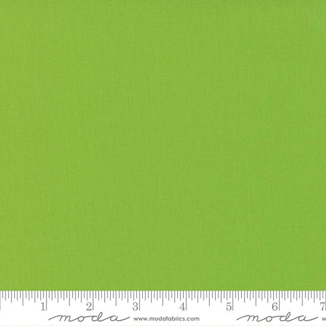 Bella Solids Sprout 9900267