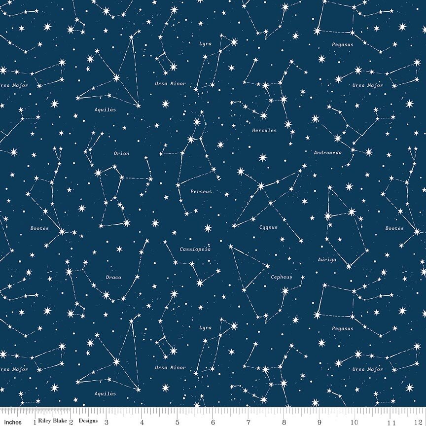 Reach for the Stars with NASA Constellations Navy