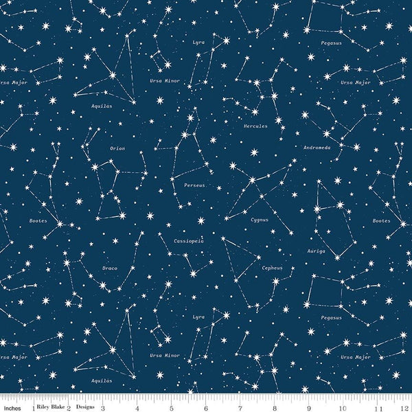Reach for the Stars with NASA Constellations Navy