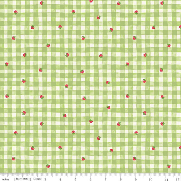 The World of Strawberry Shortcake Gingham Green