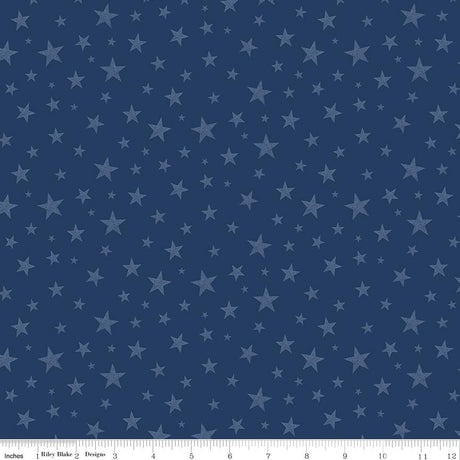 Valor Is Never Forgotten Stars Blue