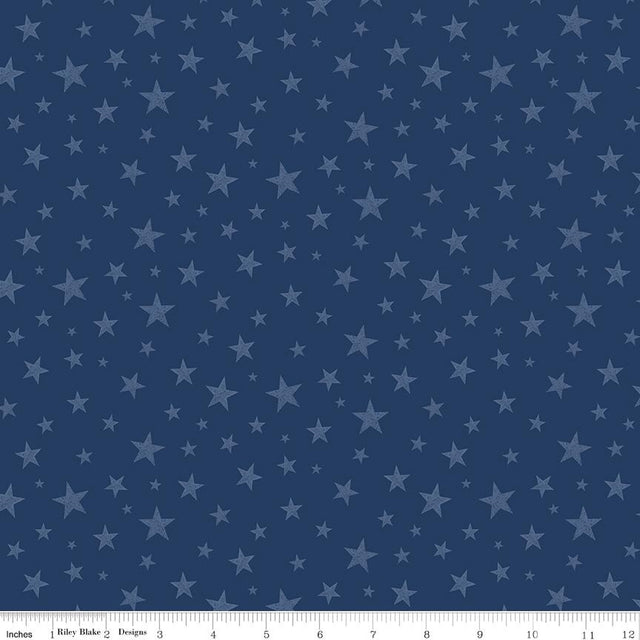 Valor Is Never Forgotten Stars Blue