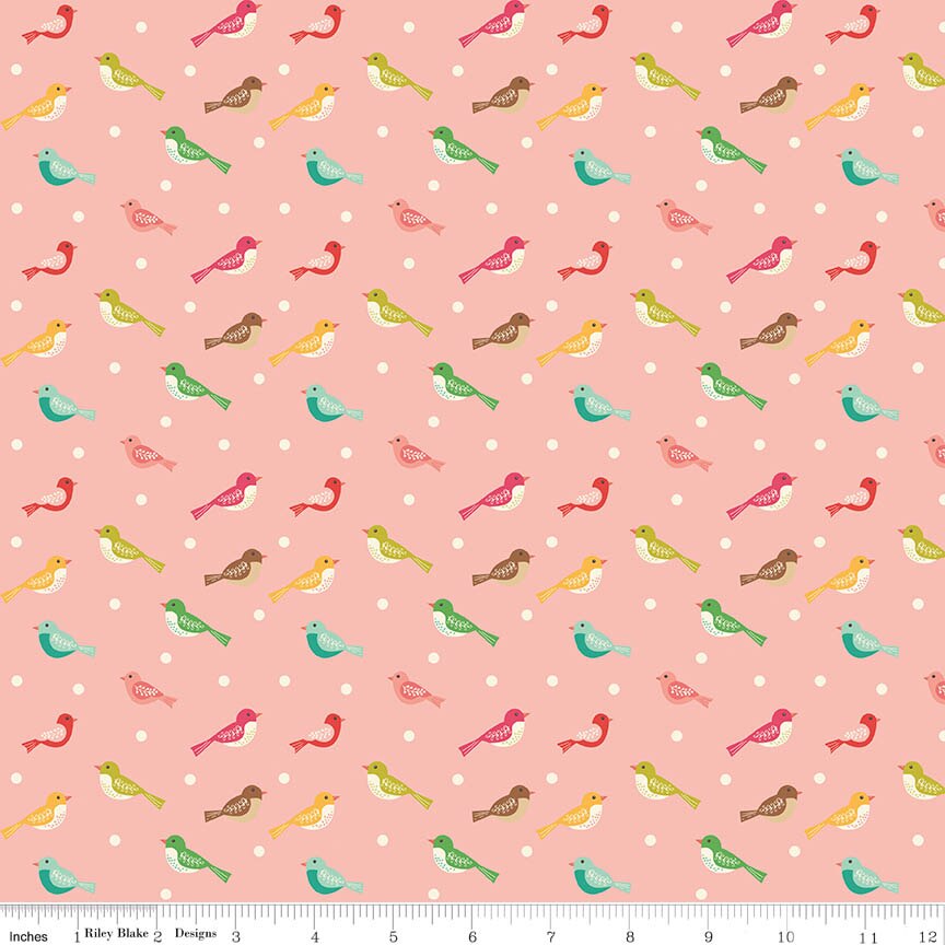 Aviary Bird Peaches 'n Cream