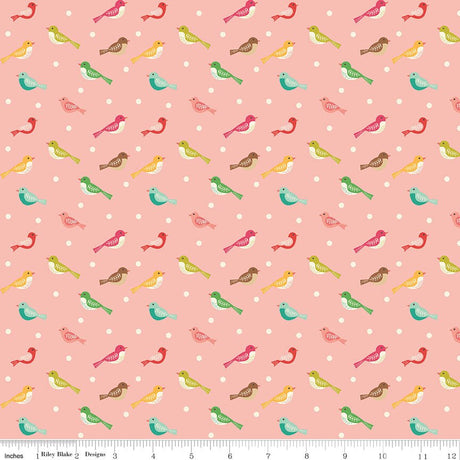 Aviary Bird Peaches 'n Cream