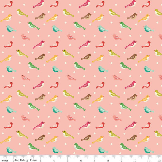 Aviary Bird Peaches 'n Cream