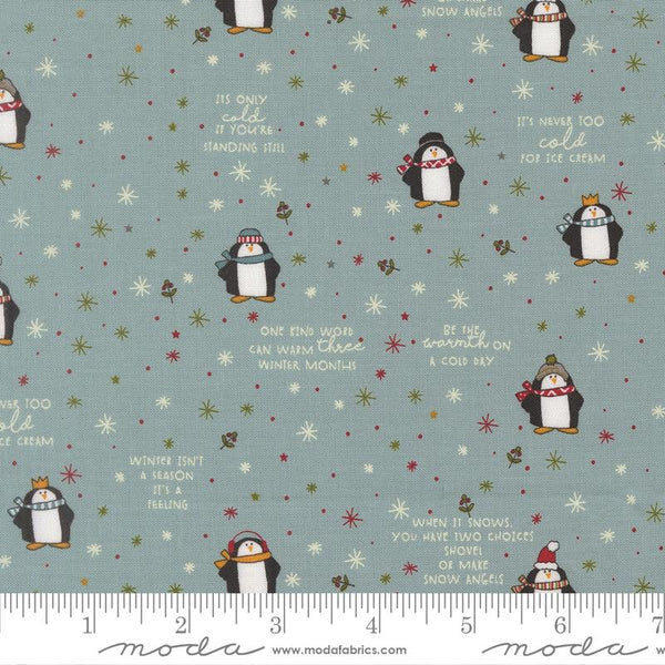 Chilly Mr Penguin Storm 806271