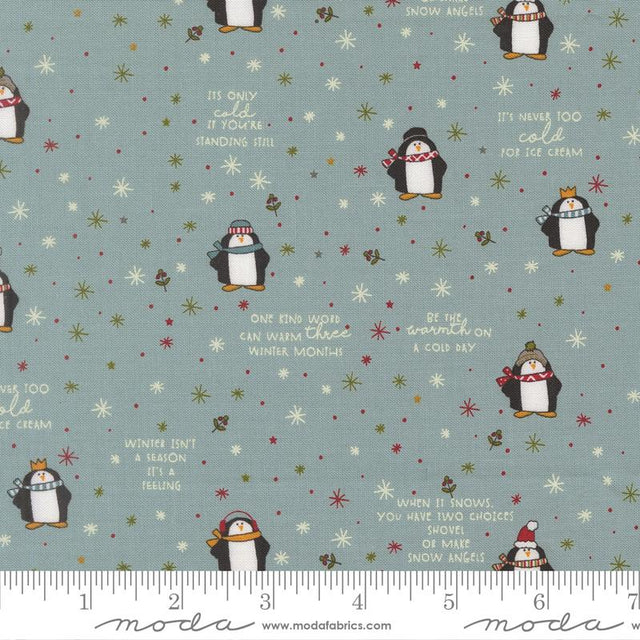 Chilly Mr Penguin Storm 806271