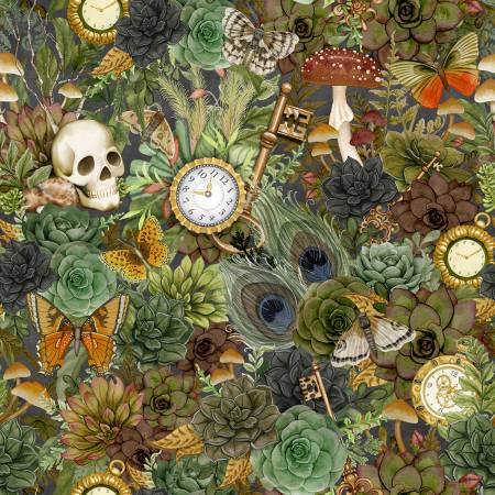 Dark Academia Packed Succulents Multi 806126