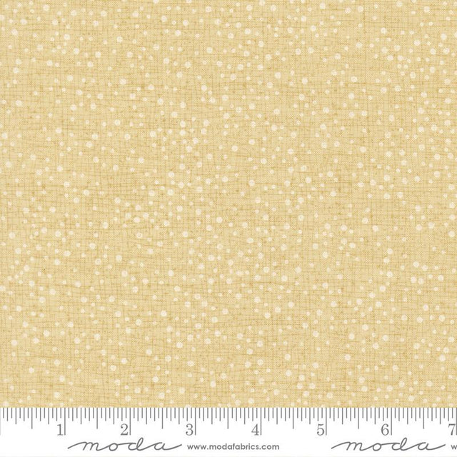 Darling Peony Champagne 5718
