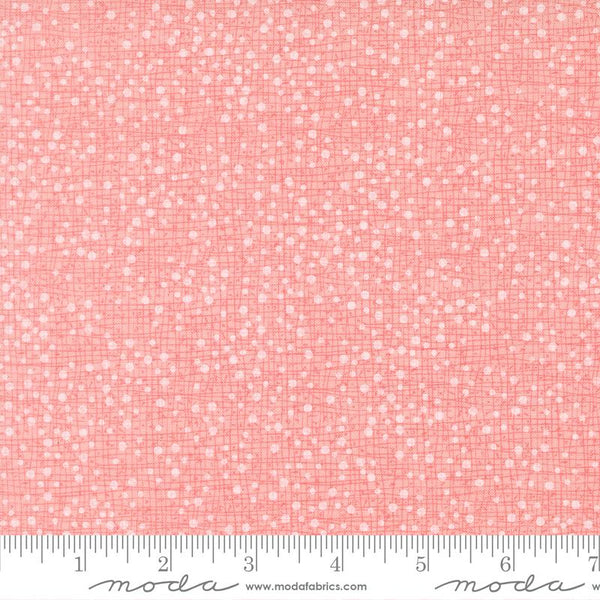 Darling Peony Cotton Candy 5717