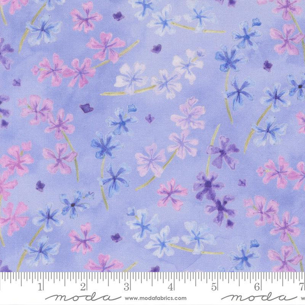 Delphinium Bluebell 65113