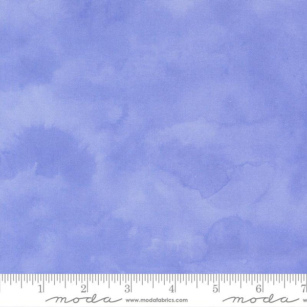 Delphinium Bluebell 66013