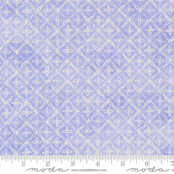 Delphinium Lilac 65615