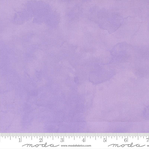 Delphinium Mauve 66015