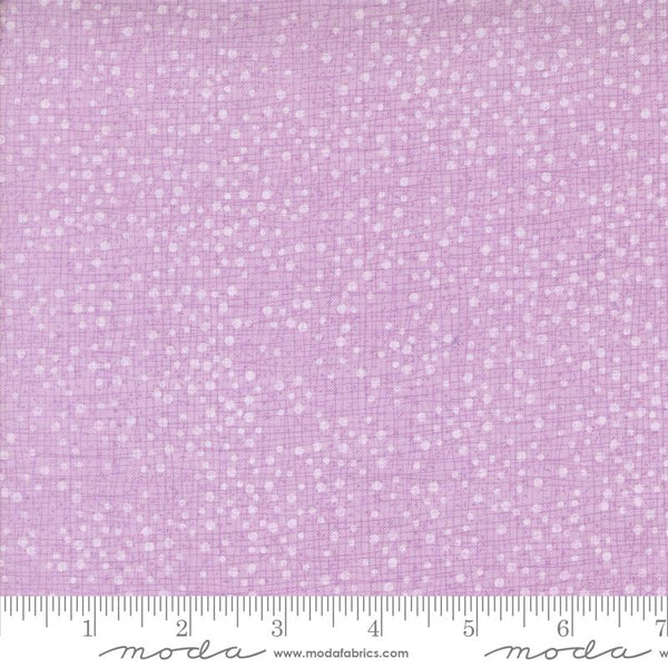 Dotty Thatched Freesia 5720