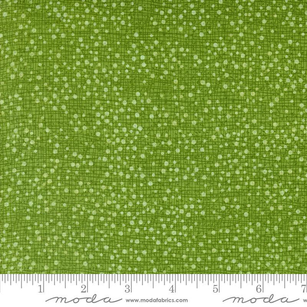 Dotty Thatched Grass 4310