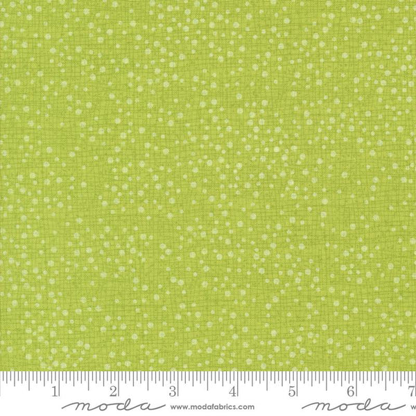 Dotty Thatched Lime 5432