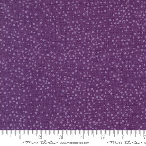 Dotty Thatched Pansy 5426