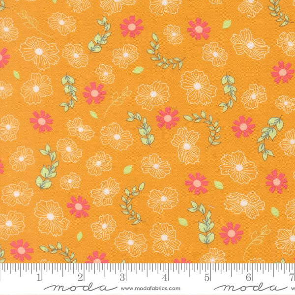 Honeyed Horizon Honey 6309