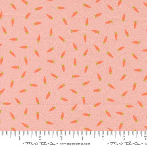 Hop Into Spring Petal 39094 13 Moda #1