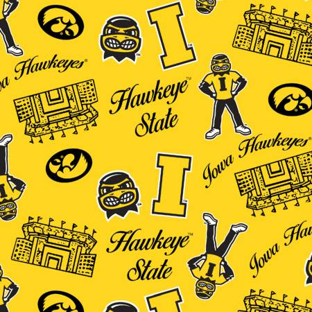 Iowa Mini Stadium Logo Cotton IA1389