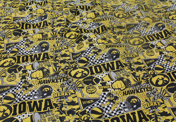 Iowa IA1165