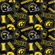 Iowa IA1178