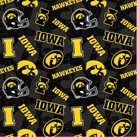 Iowa IA1178