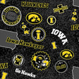 Iowa  IA1208