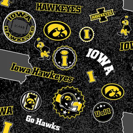 Iowa  IA1208