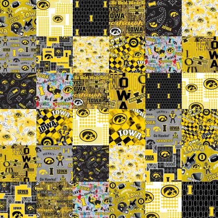 Iowa IA1363 Collegiate Cheater Quilt
