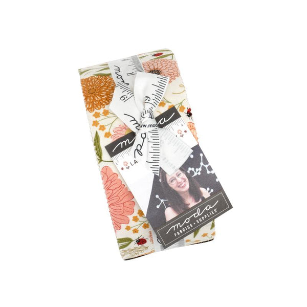 Ladybug Whimsy Jelly RollÂ® 48440JR Moda Precuts#1
