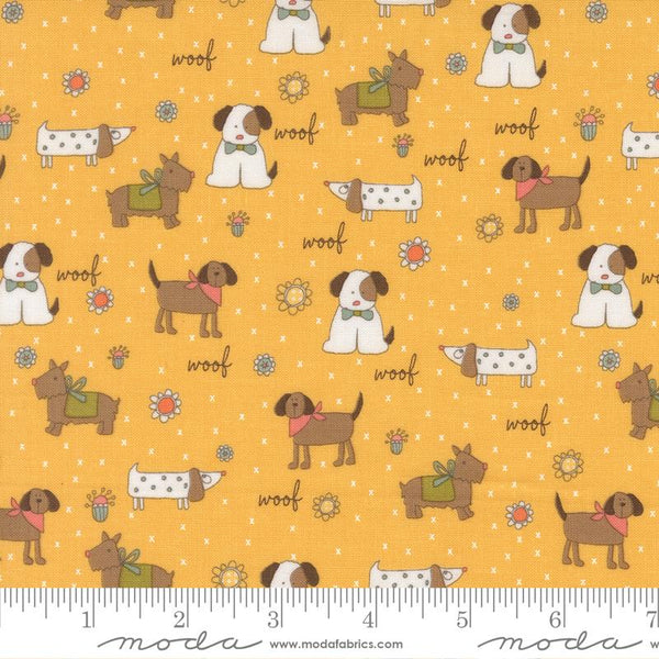 Lucky Puppy Parade Sun 5509