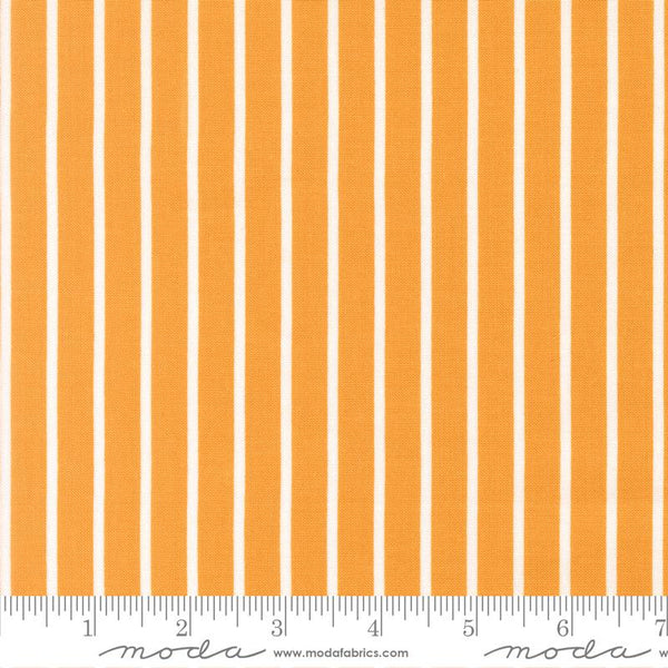 Magic Stripe Honey 5231 56 Moda #1