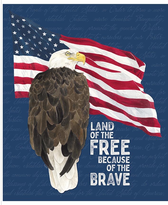Valor Is Never Forgotten Land of the Free Panel