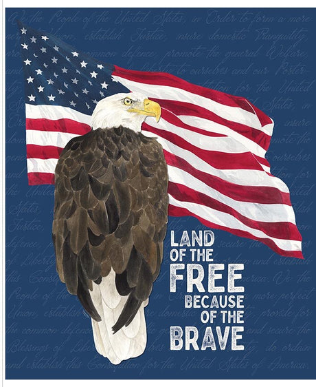 Valor Is Never Forgotten Land of the Free Panel