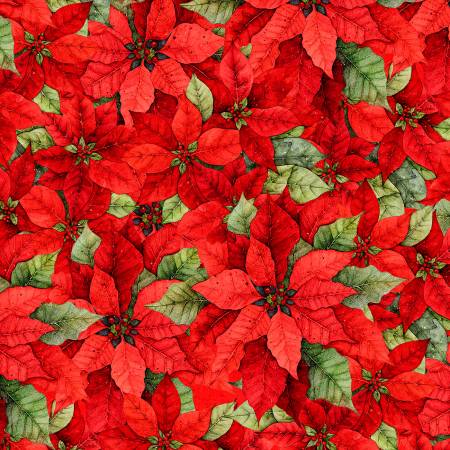 Poinsettia Radiance Packed Poinsettia Red 806232