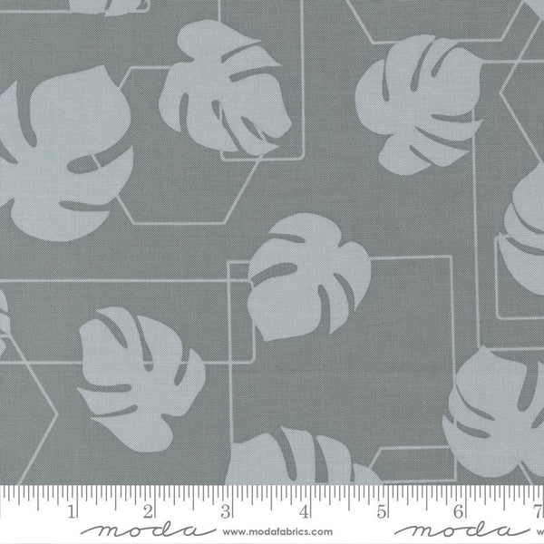Potted Monstera Geo Ocean 5587