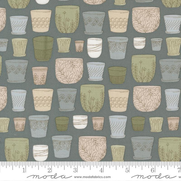 Potted Pots Ocean 6202