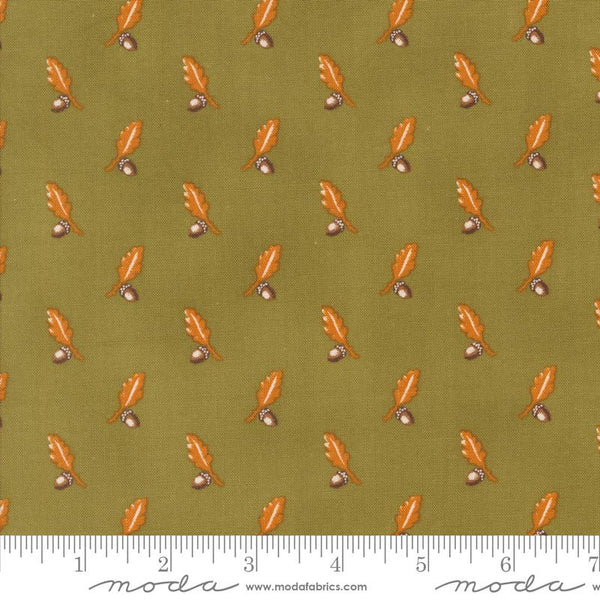 Pumpkin Spice Gath Basil 805082